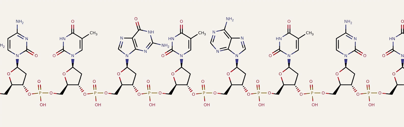 Chemical structure of nucleic acid aptamer backbone
