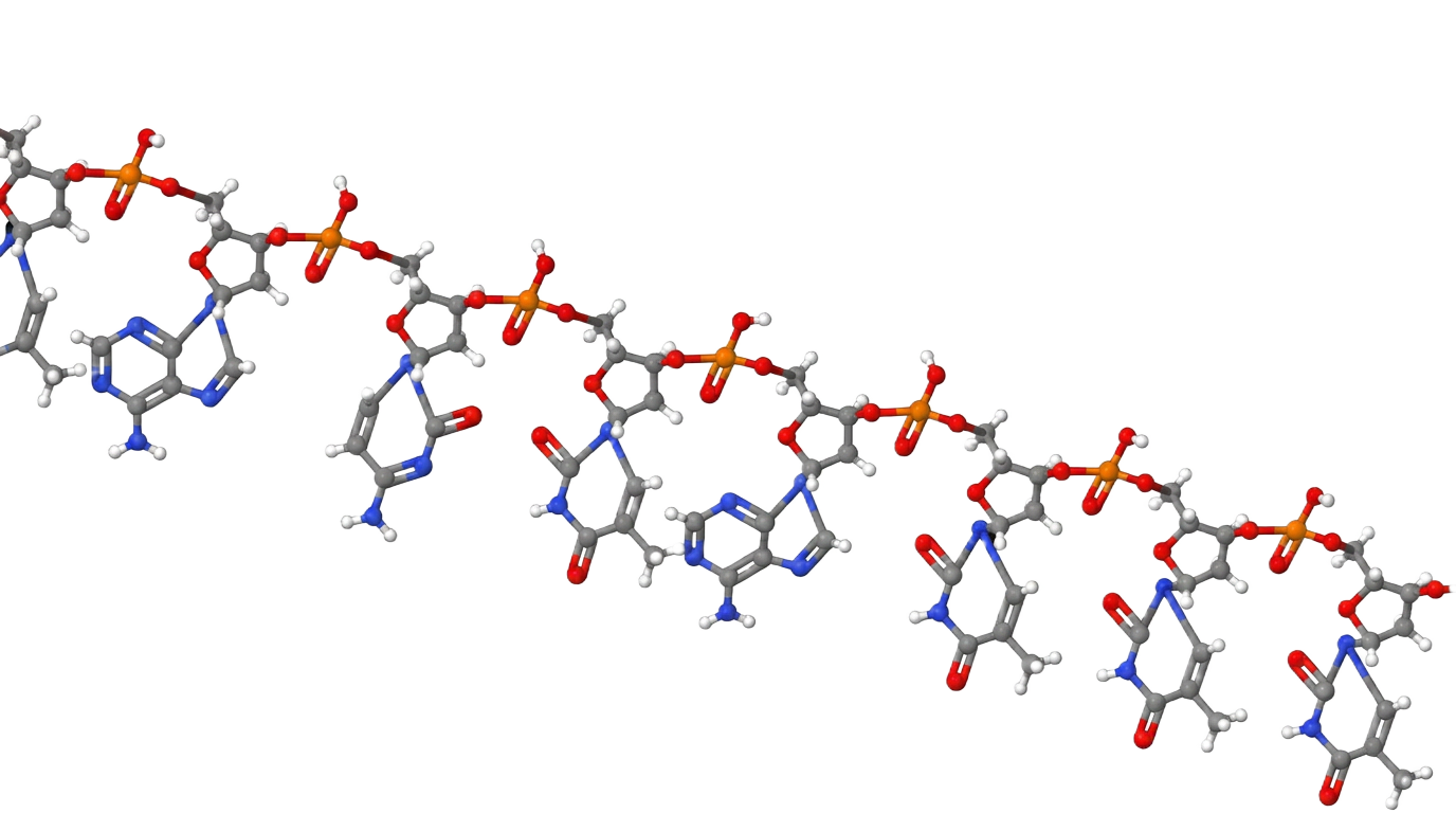 Molecular structure of an aptamer